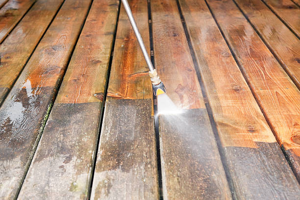 Best Driveway Pressure Washing  in Kalifornsky, AK